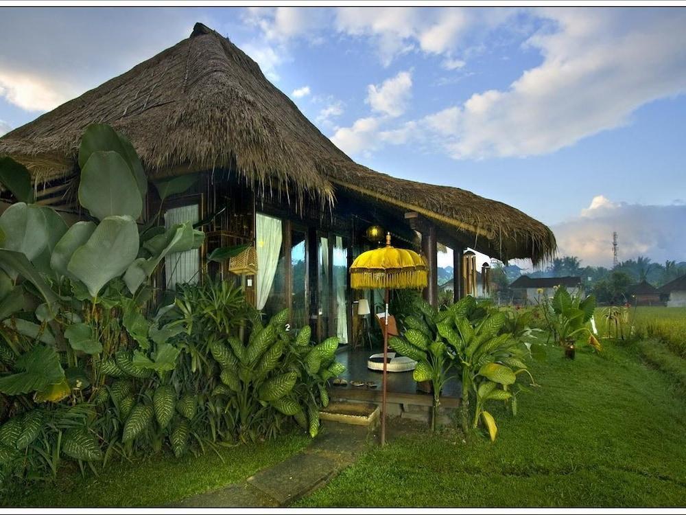 Villa Kunang Kunang Ubud Exteriér fotografie