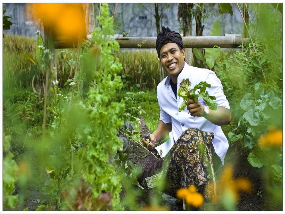 Villa Kunang Kunang Ubud Exteriér fotografie